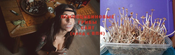 трава Богданович