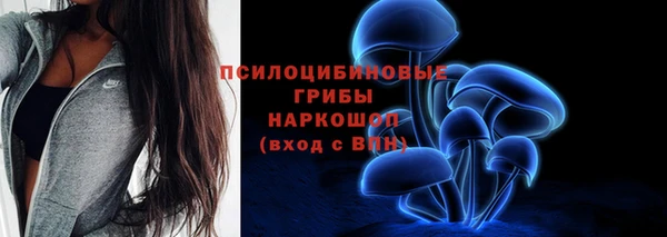 трава Богданович