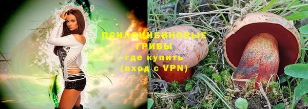 спайс Богородицк