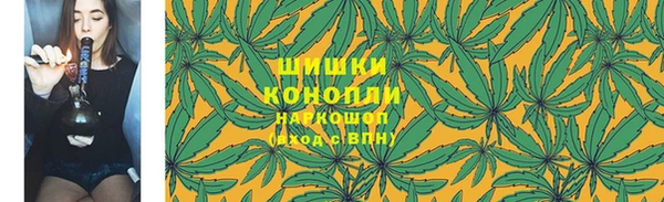 трава Богданович