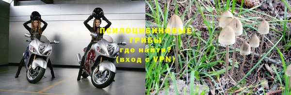спайс Богородицк