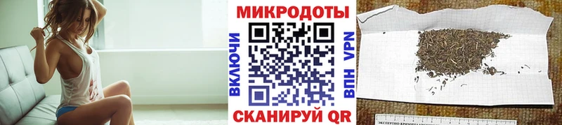 Псилоцибиновые грибы Psilocybe  omg сайт  Барнаул 